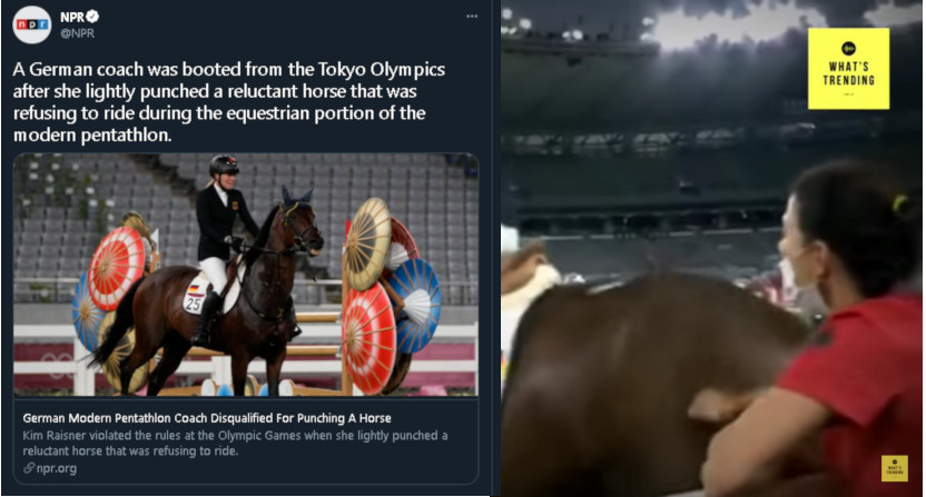 Girl dies after getting fucked by a horse Kxdlkges86u7bm
